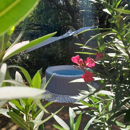 Suite Avec Jardin Entre Aix En Provence, Luberon Et Verdon Peyrolles-en-Provence Eksteriør billede