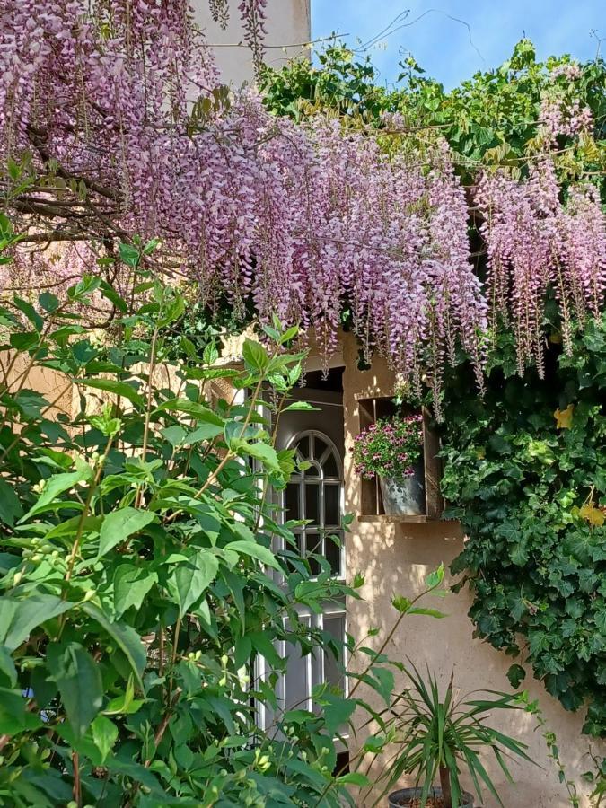 Suite Avec Jardin Entre Aix En Provence, Luberon Et Verdon Peyrolles-en-Provence Eksteriør billede
